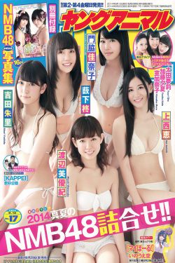 张颂文最新电视剧